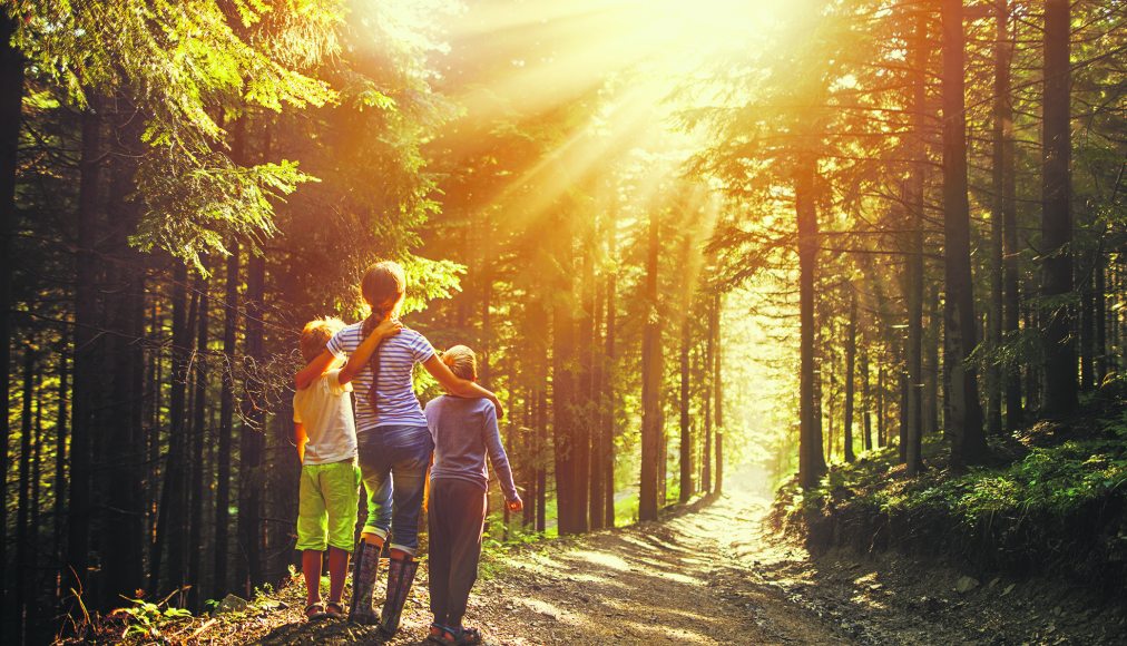 ©istock ©istock / Une femme et deux enfants en forêt regardent le soleil qui perce à travers les arbres