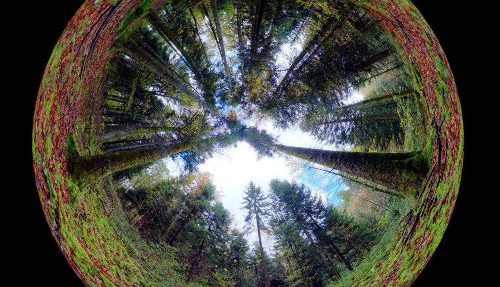 Le monde à 360° Le monde à 360° / Vers d'autres résonances