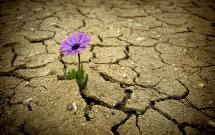©iStock